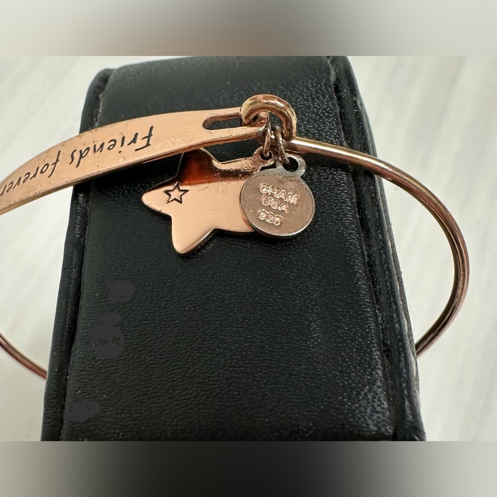 Chic Rose Gold Tone Bracelet Bundle - 7 in total (one being a Chamilia) - Picture 16 of 16